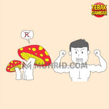 Tebak gambar kunci jawaban level 4 androidios youtube via youtube.com kunci jawaban tebak gambar level 21 spesial cinta update terbaru via playtoko.com jawaban tebak gambar nomor 4. Kunci Jawaban Tebak Level 4 Terbaru Beserta Gambarnya