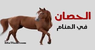 موصل سريع شخص استرالي تفسير حلم الفرس الابيض لابن سيرين findlocal drivewayrepair com