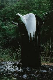 Bildergebnis für Joshua Serafin