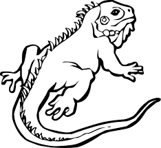 coloriage iguane a imprimer marais