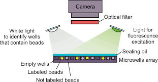 Framework users like to inherit from classes for various see unsealed classes for examples of nonobvious reasons users want to inherit from a type. Spectrally Encoded Microspheres For Immunofluorescence Analysis Sankova 2021 Journal Of Applied Polymer Science Wiley Online Library