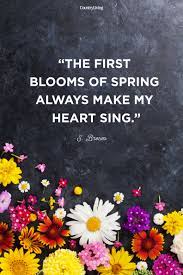 First flowers of spring quotes. 35 Best Happy Spring Quotes Motivational Sayings About Spring