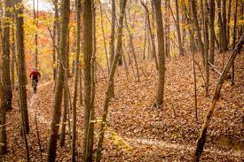 Mountain Bike Trails Near Chicopee Woods