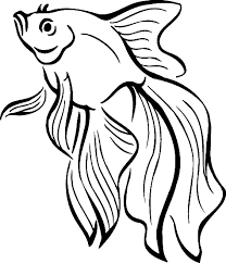 They also love to color the outline pictures present in the fish coloring pages. Realistic Tropical Fish Coloring Pages Clipart Panda Free Clipart Images Fish Coloring Page Fish Drawings Fish Outline