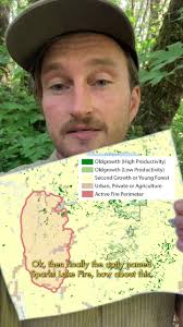 Wildfire Seasons Hottest Trends 🔥🌲 #forest #ecology #trees #oldgrowth  #wildfire #heatwave #bc #lytton