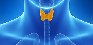The common causes of thyroid problems include autoimmune disease, certain medical treatments and inflammation of the thyroid. Thyroid Disease Infertility Tennessee Fertility Institute