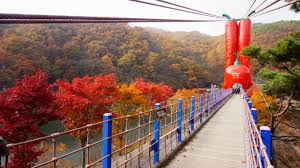 Explore Rural Korea: Cheongyang Alps Village