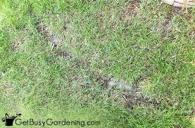 A lawn tractor is a big tool that shares many of the same attributes as a car. Lawn Mowing Patterns Techniques How To Cut Grass Like A Pro