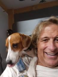 jack, jack…tabbie kitty missing in Moville…please message if you see  her/have any information.