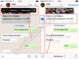 Kak V Vatsape Pereslat Soobshenie Kak Dublirovat Soobsheniya Whatsapp