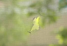 How To Cat Proof Windows Screen Mesh Protection And Repair
