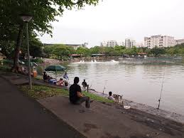 Families can have many variety of activities such as a short walk in the park, flying kites. Pasir Ris Town Park Parks Nature Reserves Gardens Parks Nature National Parks Board Nparks