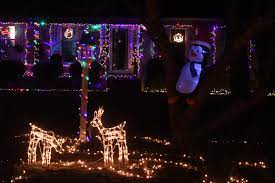 I can't wait to see how it grows over the years! 10 Places To See Christmas Lights In The Wilmington Area