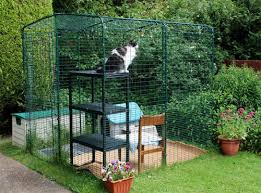 Cara buat sangkar kucing mudah. 10 Idea Mencipta Sangkar Kucing Paling Menarik Boleh Anda Cuba Encikshino Com