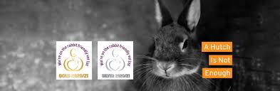 The first tool of prevention is to minimize multiple hiding spots in your garden. Rabbit Friendly Vets Rabbit Welfare Association Fund Rwaf