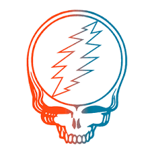 12 Organized Dead And Company Wrigley Field Seating Chart