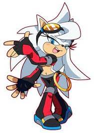 Jun 23, 2021 · sonic robo blast 2 was the first fan made 3d sonic game released in 1998 by sonic team junior. 900 Sonic Fan Characters Ideas In 2021 Sonic Fan Characters Sonic Sonic Art