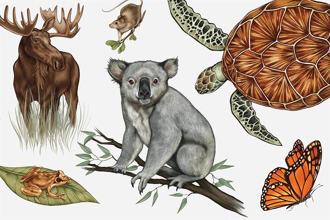 Animal Species on the Eve of Extinction