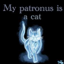 Harry potter and the prisoner of azkaban introduced the idea of the patronus charm in harry potter canon. Artstation My Patronus Is A Cat Artworks