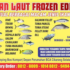 Maybe you would like to learn more about one of these? Toko Ikan Laut Edelways Home Facebook
