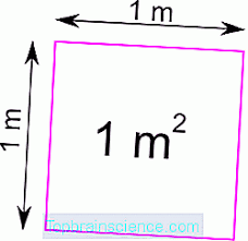 2500 hektar = 250000000000 centimeter persegi. Petua 1 Bagaimana Untuk Menukar Meter Persegi Kepada Meter Padu Matematik 2021