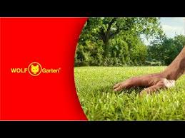 Dank »poa supina« ist nun auch eine sichere und. Wolf Garten Premium Rasen Schatten Sonne Lp200