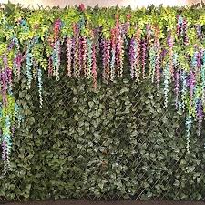 Compare prices of hotels in brisbane cbd, brisbane on kayak now. Ivy Coloured Wisteria Wall Brisbane
