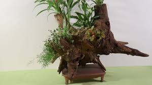 Nous allons étudier les astuces pour décorer votre jardin. Creer Une Deco Vegetale Dans Une Souche Youtube