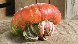 In what words should i invite my friend for the dinner? The Ancient Origins Of Thanksgiving Squash Cnn