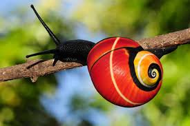 The real holly j erome her tits tend to be not small, and