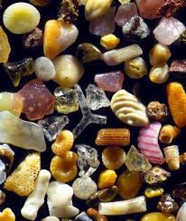 Have You Ever Seen Beach Sand Under The Microscope Look At The Amazing Variety Each One Is Unique In 2020 Grain Of Sand Things Under A Microscope Microscopic