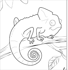 The best selection of royalty free chameleon coloring page vector art, graphics and stock illustrations. Printable Chameleon Coloring Page Coloringbay