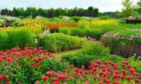 Mit 15 wohnungen in appeltern verfügt pararius über die größte auswahl an mietobjekten. Taspo Garten Design Die Bluhenden Garten Von Appeltern