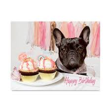 In 1831, the french government. Happy Birthday French Bulldog Card Brindle French Bulldog Etsy Happy Birthday French Bulldog Brindle French Bulldog French Bulldog