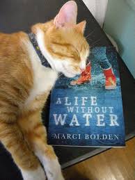 Book Hangover Alert In 2021 Book Hangover Animals Beautiful Tearjerker