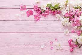 Select from premium pink flower white background of the highest quality. 7x5ft Hot Pink White Floral Flowers Petal Light Pink Wood Grain Wall Custom Photo Background Studio Backdrop Vinyl 220cm X 150cm Background Aliexpress