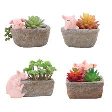 Every purchase from the kiva store's home decor collection supports artisan borrowers and helps kiva expand their global reach, creating opportunity for families around the world. Youfui Home Decor Pot Pig Succulent Planter Flowerpot Decor For Home Office Desk 4pcs Pigs Buy Online In Bosnia And Herzegovina At Bosnia Desertcart Com Productid 118211045