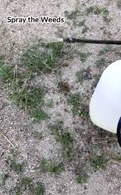 Hard surfaces, natural surfaces without vegetation and permeable surfaces overlying soil derived from. Super Powerful Chemical Free Natural Weed Killer Recipes To Nourish