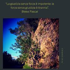 Se butti una pallina di neve giù da un monte mi auguro che queste frasi sulla resilienza ti possano essere utili. Aforismi Sulla Resilienza Senso Della Vita