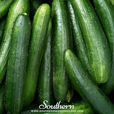 Image result for Cucumis
