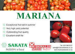 We did not find results for: Mcdonalds Seeds Mariana F1 Hybrid Determinate Saladette Facebook