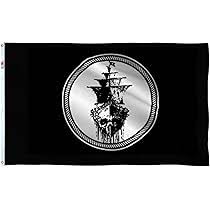 Amazon.com : NEW 3X5 HENRY AVERY JOLLY ROGER PIRATE FLAG Skull : Outdoor  Flags : Patio, Lawn & Garden