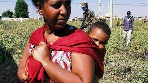 Egypt, sudan should consider gerd a tool to promoting peace and cooperation in africa. Surrender Ethiopian Prime Minister Urges Tigray Rebel Forces Vatican News