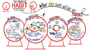 March 25, 2018 • 5 min read. The Power Of Habit Why We Do What We Do In Life And Business Youtube