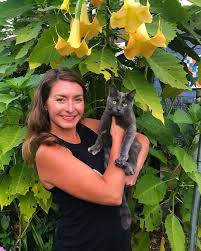 Image result for Brugmansia