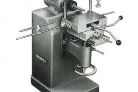 Image result for Frommia