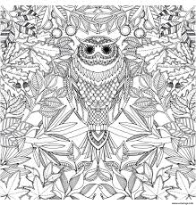 Tutoriels de dessin choisissez une page à colorier qui s'adapte le mieux à votre aspiration du moment. Coloriage Adulte Hibou Dessin Adulte Animaux A Imprimer