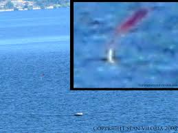 We did not find results for: The Okanagan S Friendly Neighborhood Sea Monster Is It Real Penticton Lakeside Resort