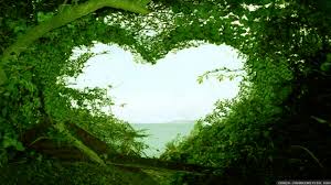 We did not find results for: Quotes About Beautiful Nature 121 Quotes