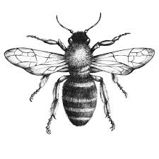 See more of bumble bee tattoo ink on facebook. 27 Black And White Bumblebee Tattoos